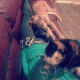 Dediacated Pet Sitter and Animal Lover
