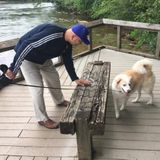 Tony loves dogs and would love to take yours for a walk.