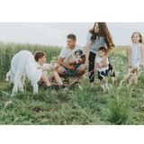 Mothers Helper-Part time Job Opportunity