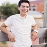 Mckinney Dog Sitting Professional Searching for Work in Texas, I can work with all types of pets from cats to horses!