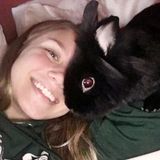 Experienced and careful pet sitter available now!
