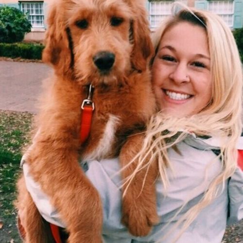 Child Care Provider Caroline P's Profile Picture