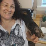 CC's Critter Care (Drop-in's & Over-Night)