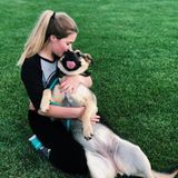 Positive And Motivated House And Pet Sitter! Huge Animal Lover.