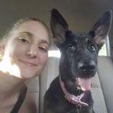 Boerne, Texas Pet Sitting Professional