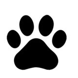Honest Pet Sitting Professionals in Englishtown, New Jersey