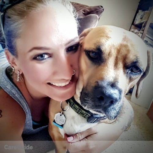 Pet Care Provider Lindsay Koch's Profile Picture