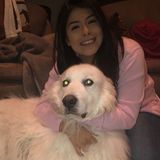Caring Dog Sitter in Island lake