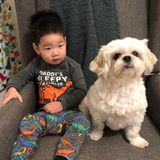 Employing an Experienced Nanny in Vaughan, Ontario