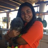 Pet Sitter