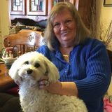 Skillful House Sitting Service Provider