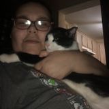 Pet Care Provider in Bensalem, Pennsylvania