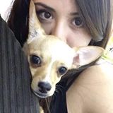 Animal Lover