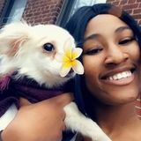 Trustworthy Pet Sitting Professional in Brooklyn, New York