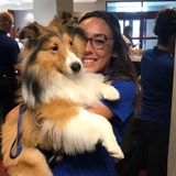 Flexible pet sitter with open availability