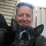 Buena Park Dog Walker Interviewing For Work in California