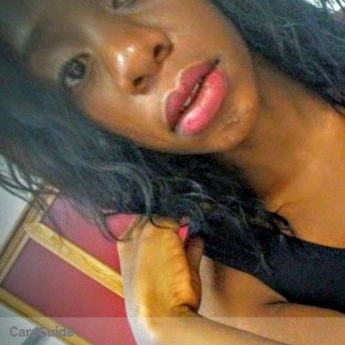 Housekeeper Provider Dalia T's Profile Picture