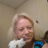 Pet Feeding, House Sitting, & Caretaking Offered in Union, Jonesville, & Pacolet