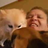 Carol's Pet Sitting