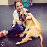 Need occasional Doggie Daycare...