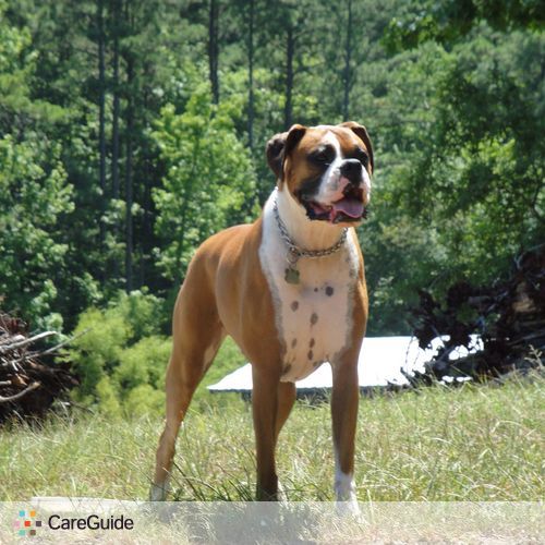 Pet Care Job Kim's Profile Picture