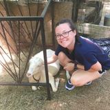 Looking for a pet owner!