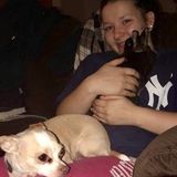 Baldwinsville Dog Trainer Available For Work