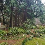 Stay at a park in Point Roberts this spring