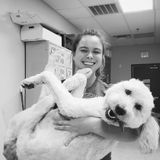 Looking For a Pet Sitter Job in the Waxahachie area or 10 miles within.
Compensation for gas and time negotiated