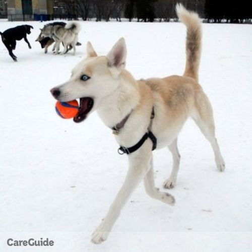 Pet Care Provider Verity E's Profile Picture