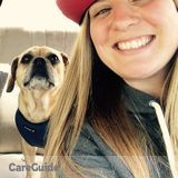 My dogs think I'm awesome!