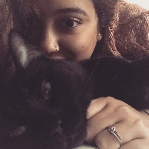Pet Care Provider Maddie H's Profile Picture