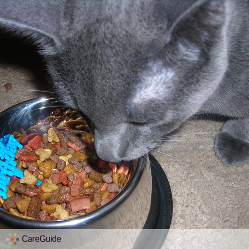Pet Care Provider Niles Marsteller's Profile Picture
