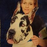 New Port Richey Pet Supervisor Interested In Job Opportunities
