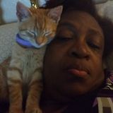 People person love animals and plants...making other people happy Consistent House Sitter in Addison