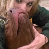 Interested In Petersburg Petsitter, Illinois Jobs