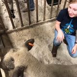 Animal lover for hire