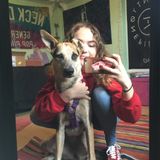 Part Time Student and Pet Sitter, Located in Boynton Beach, Florida