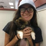 Manhattan girl who would love to take care of your pets!