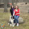 Petter Sitter and Dog Walker Available