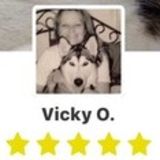 Interested In a pet sitter. My home is open to your fur babies . I have references I can share.
