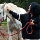For Hire: Full Time Home Cleaning Provider in Stamford, Connecticut
