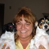Gina's. Loving Pet Care