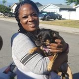 Available: Careful Dog Sitter in Williston and Watford city, North Dakota