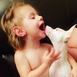 Available: Passionate Pet Carer in Edmonton who is a 42yr. old female n mother of 2 that is devoted n dedicated to animals.