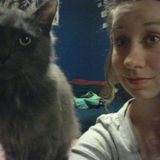 Seeking pet sitting jobs in clarksburg, w.v