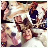 Let me pamper your pets!
