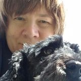 Reliable, experienced, gentle and loving Pet Care professional available O'HARE