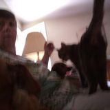 Excellent Pet Sitter/House Sitter available in Enola/Mechanicsburg area.