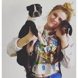 Bloomington Pet lover and petsitter